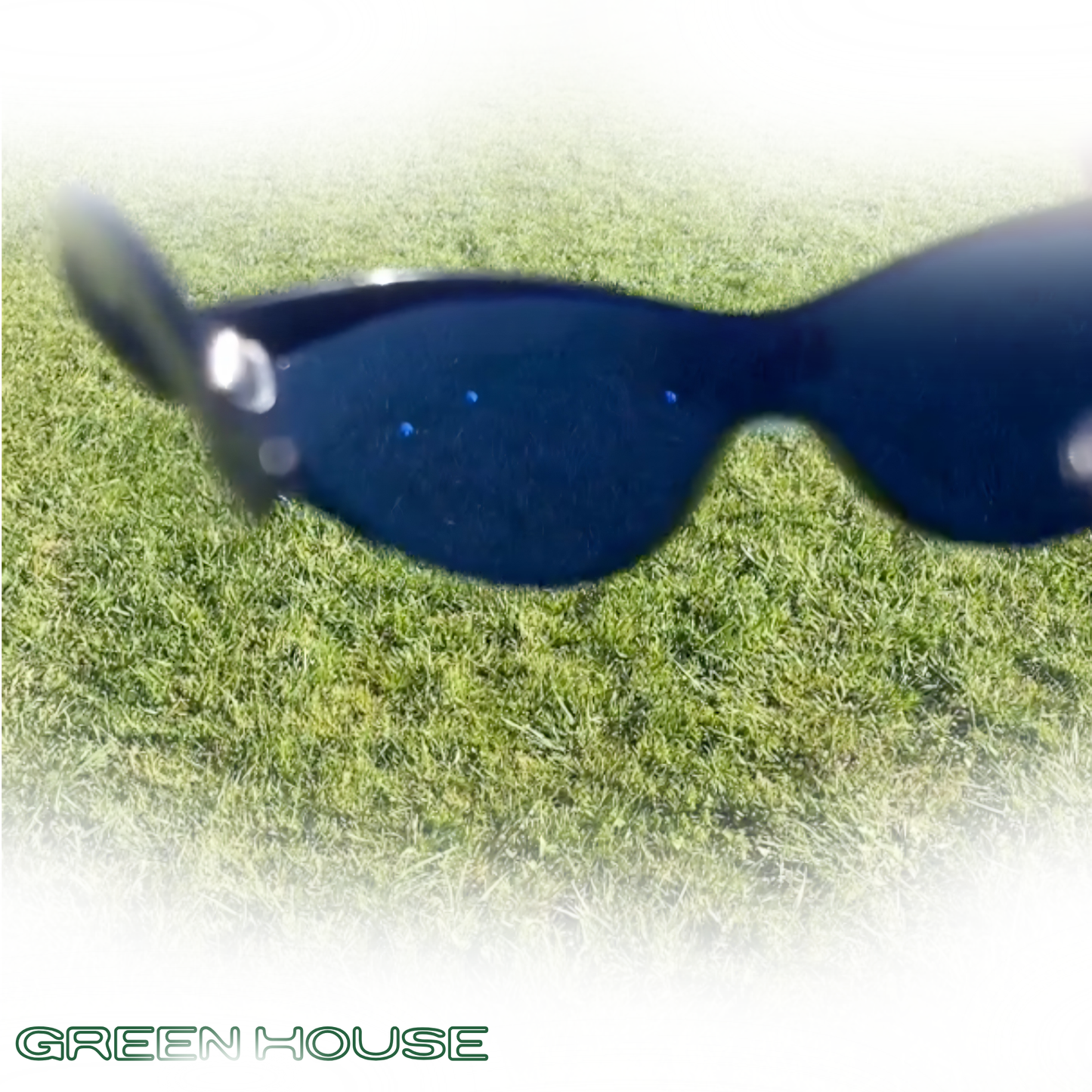 GL-1 (Birdie Vision)