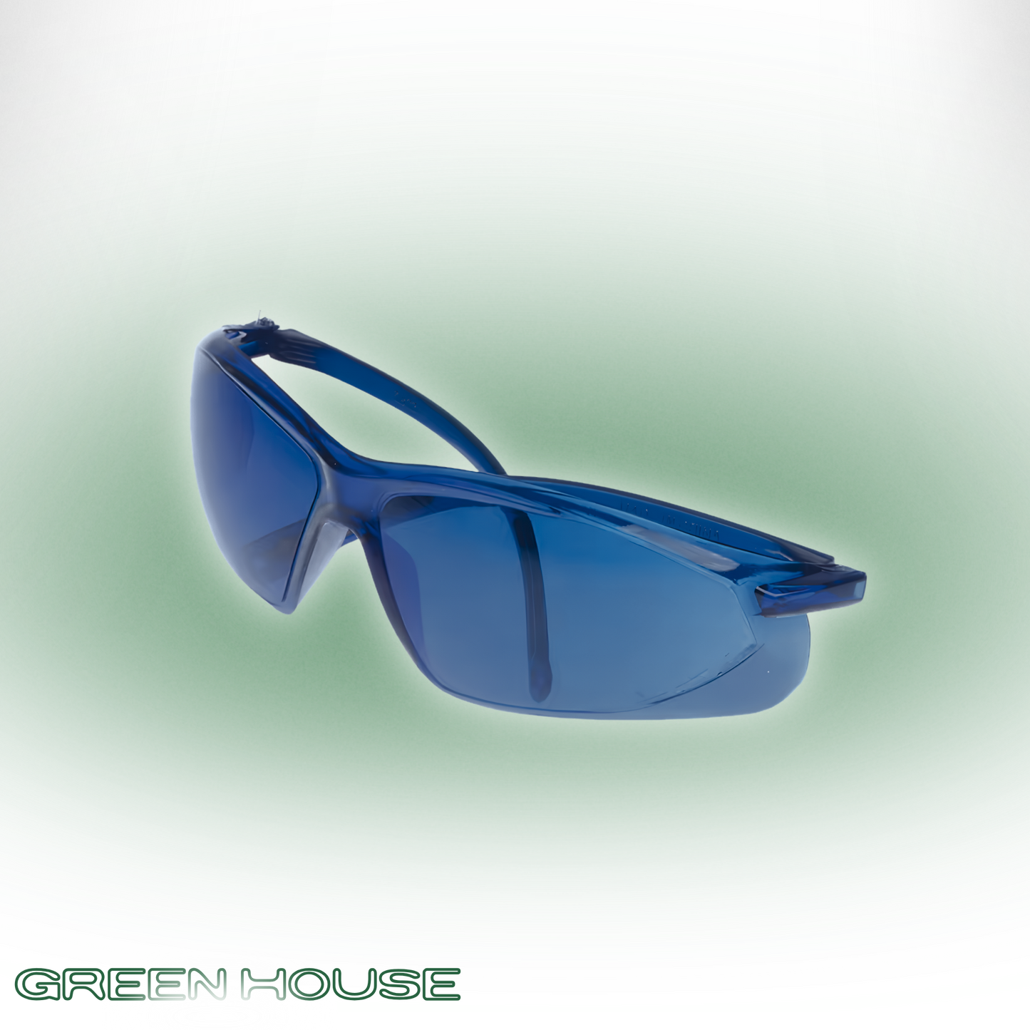 GL-1 (Birdie Vision)