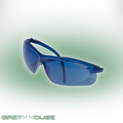 GL-1 (Birdie Vision)