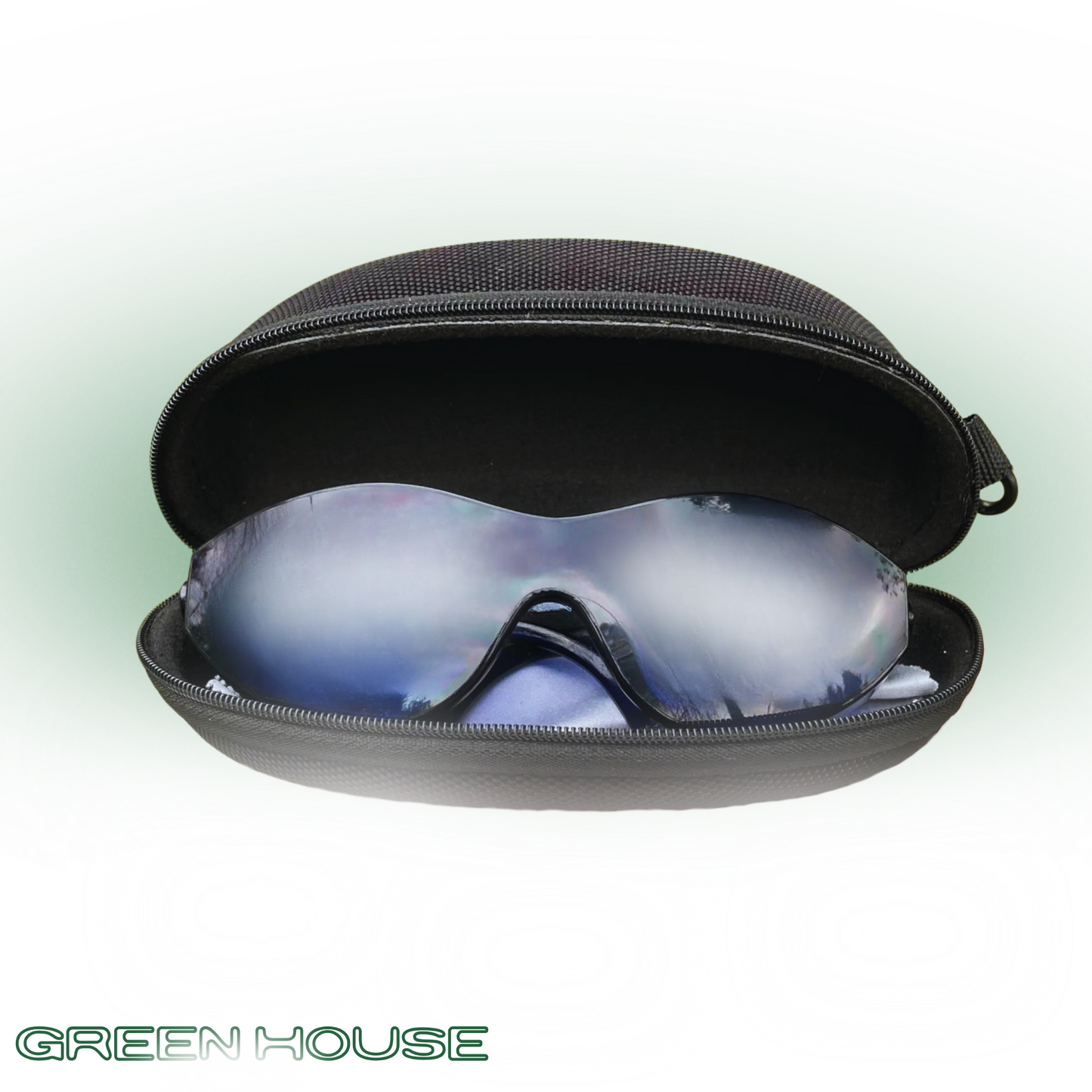 GL-1 (Birdie Vision)