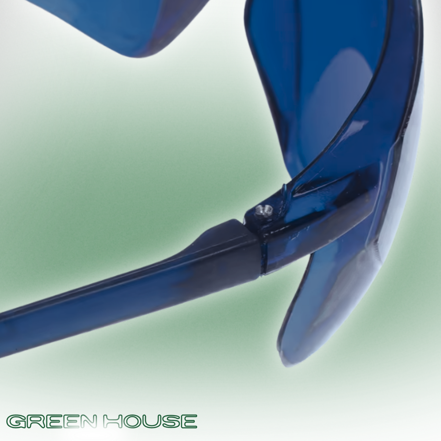 GL-1 (Birdie Vision)
