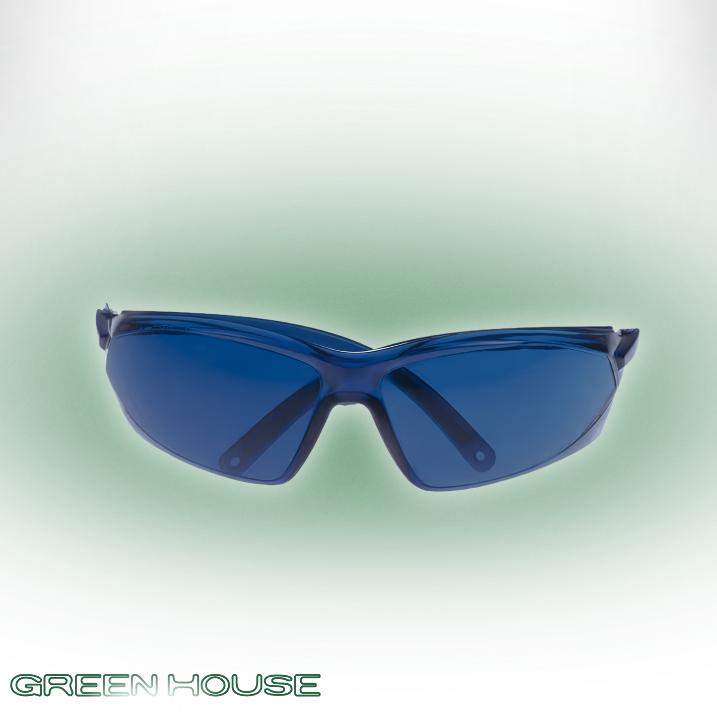 GL-1 (Birdie Vision)