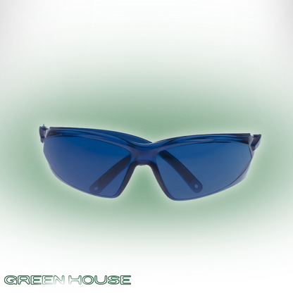 GL-1 (Birdie Vision)