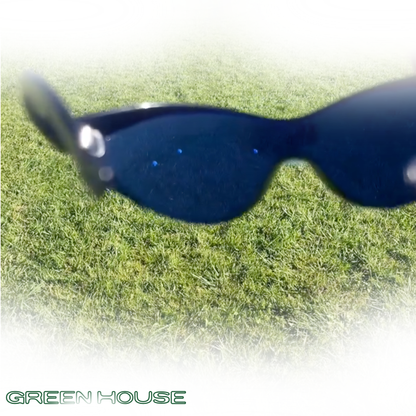 GL-1 (Birdie Vision)
