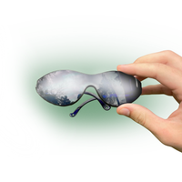 GL-1 (Birdie Vision)